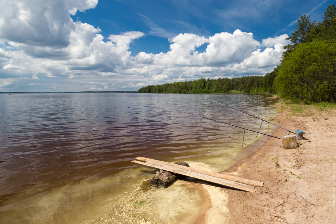 Реки и озера новгородской области для рыбалки
